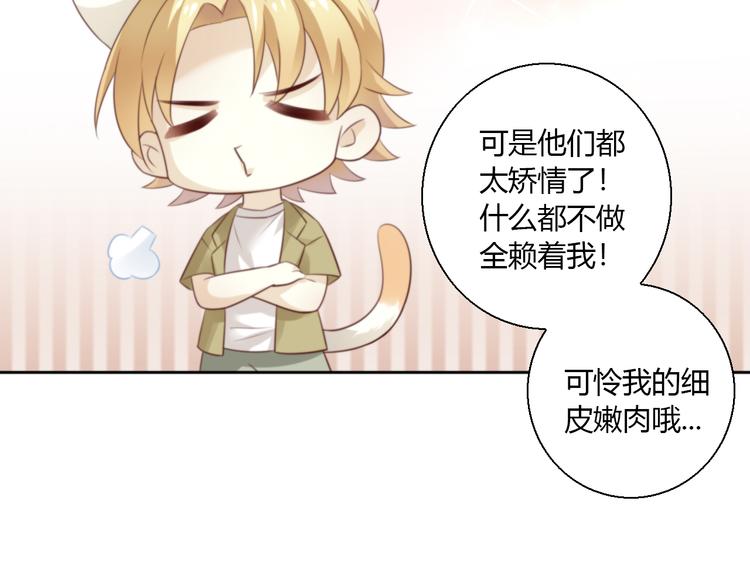 猫爪之下韩漫全集-第65话 真相无删减无遮挡章节图片 