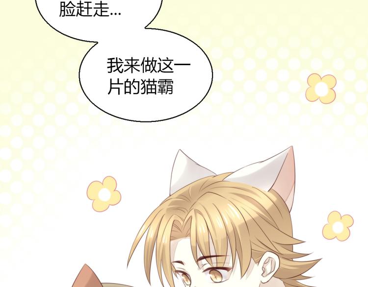 猫爪之下韩漫全集-第65话 真相无删减无遮挡章节图片 