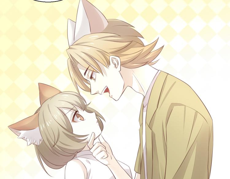 猫爪之下韩漫全集-第65话 真相无删减无遮挡章节图片 