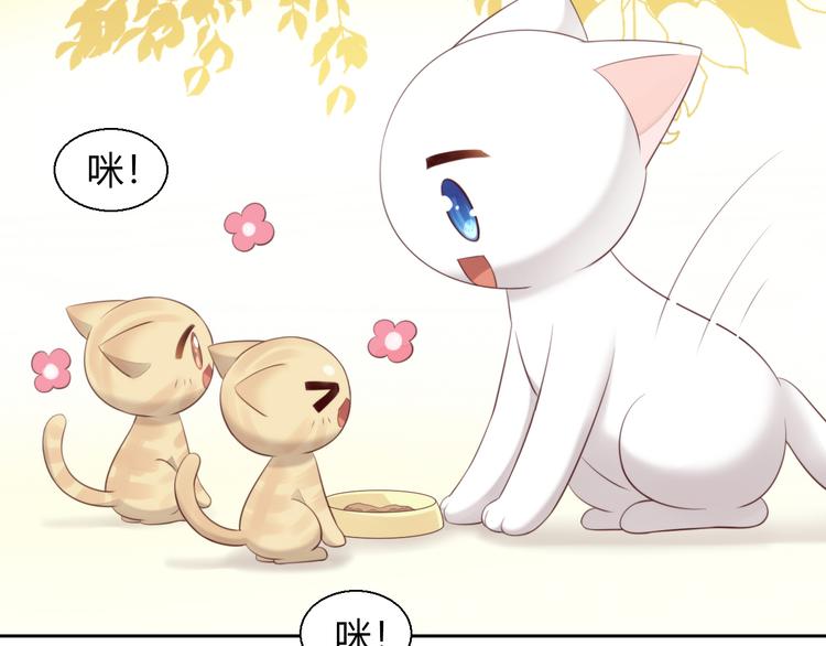 猫爪之下韩漫全集-第65话 真相无删减无遮挡章节图片 
