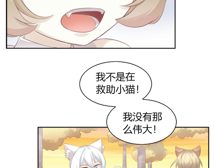 猫爪之下韩漫全集-第65话 真相无删减无遮挡章节图片 