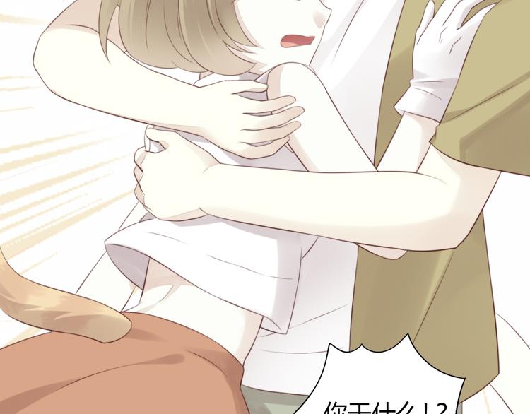 猫爪之下韩漫全集-第65话 真相无删减无遮挡章节图片 