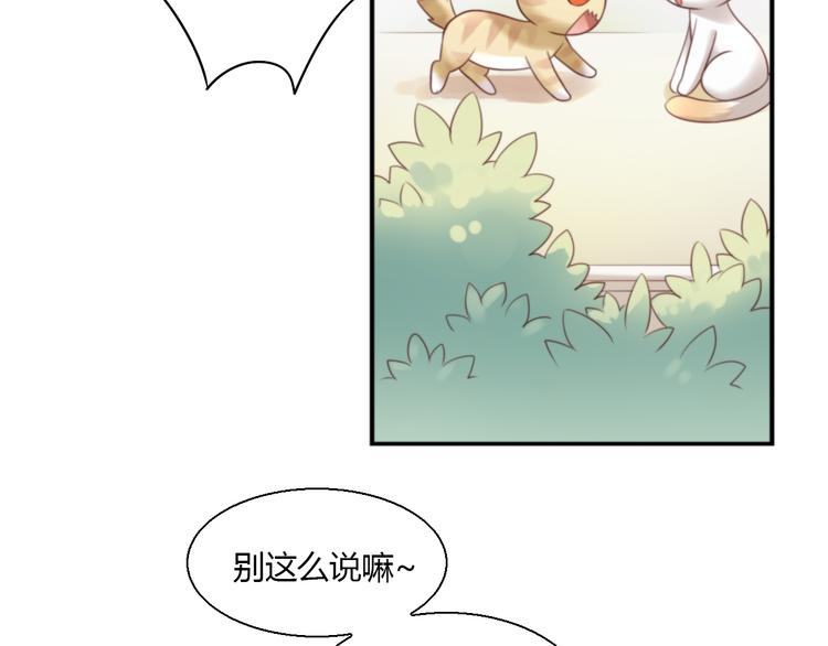 猫爪之下韩漫全集-第65话 真相无删减无遮挡章节图片 