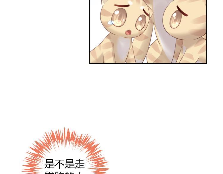 猫爪之下韩漫全集-第66话 破裂无删减无遮挡章节图片 
