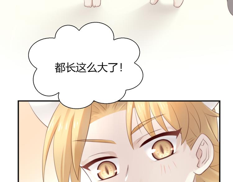 猫爪之下韩漫全集-第66话 破裂无删减无遮挡章节图片 