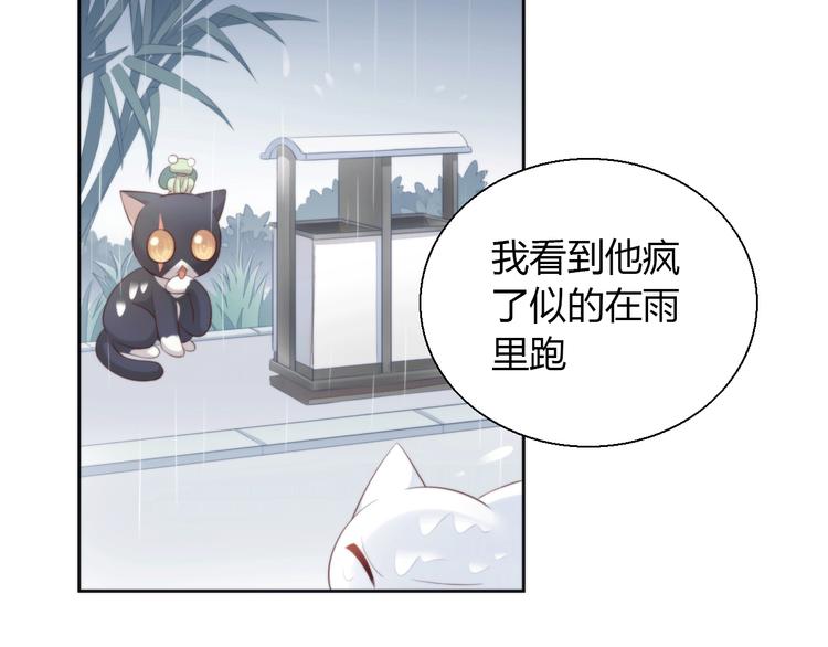 猫爪之下韩漫全集-第67话 挽救无删减无遮挡章节图片 