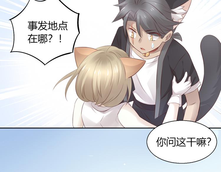 猫爪之下韩漫全集-第67话 挽救无删减无遮挡章节图片 