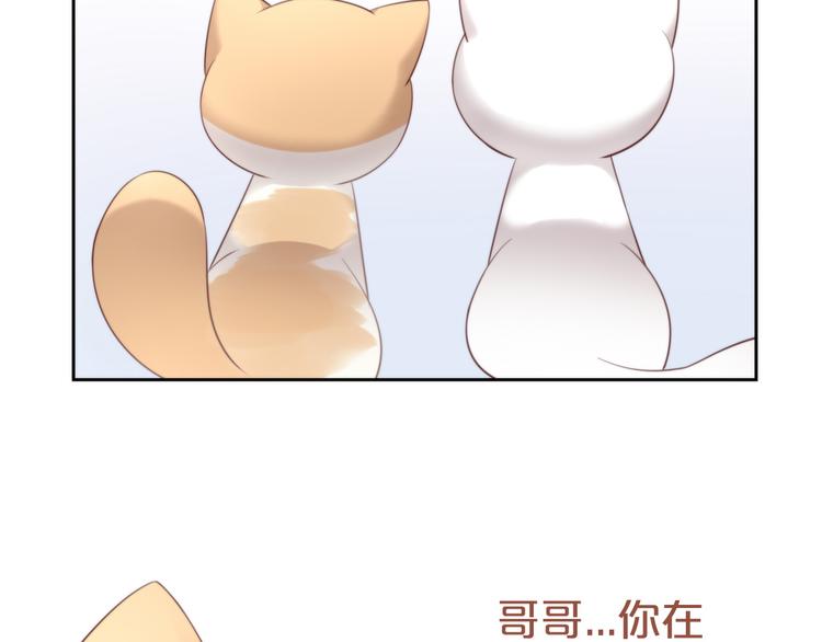 猫爪之下韩漫全集-第67话 挽救无删减无遮挡章节图片 