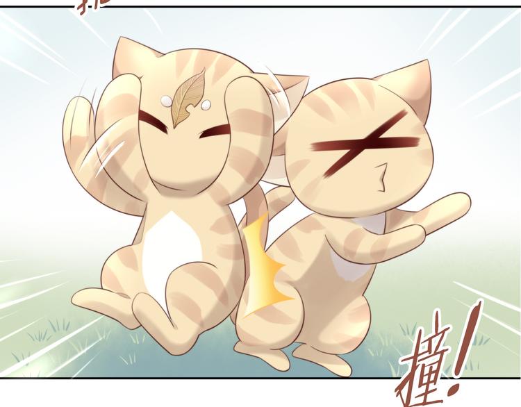 猫爪之下韩漫全集-第67话 挽救无删减无遮挡章节图片 