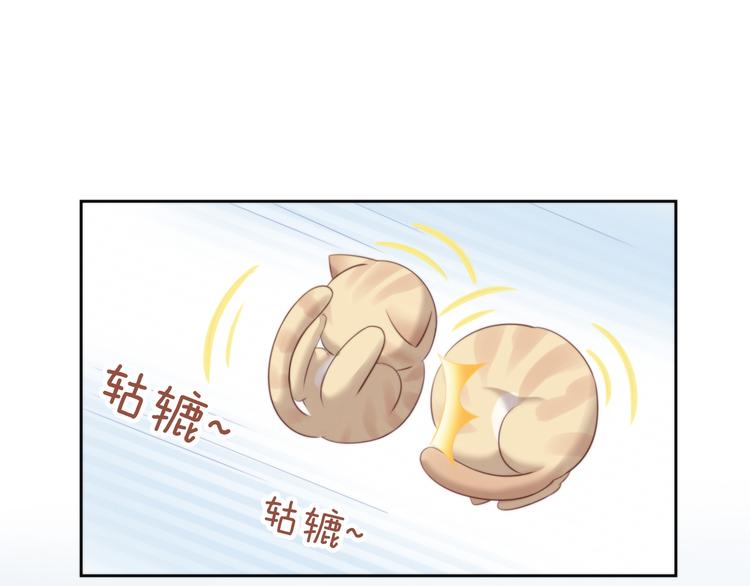猫爪之下韩漫全集-第67话 挽救无删减无遮挡章节图片 