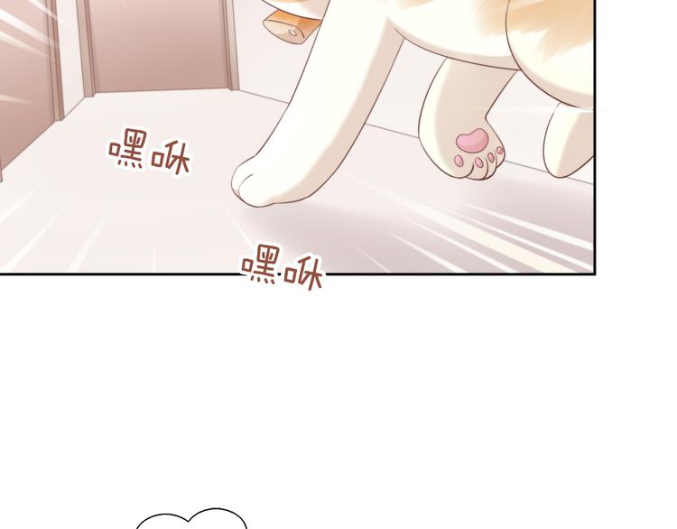 猫爪之下韩漫全集-第67话 挽救无删减无遮挡章节图片 