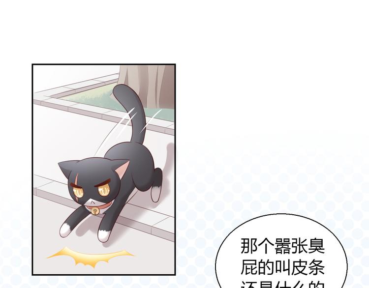 猫爪之下韩漫全集-第67话 挽救无删减无遮挡章节图片 