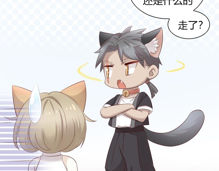 猫爪之下韩漫全集-第67话 挽救无删减无遮挡章节图片 