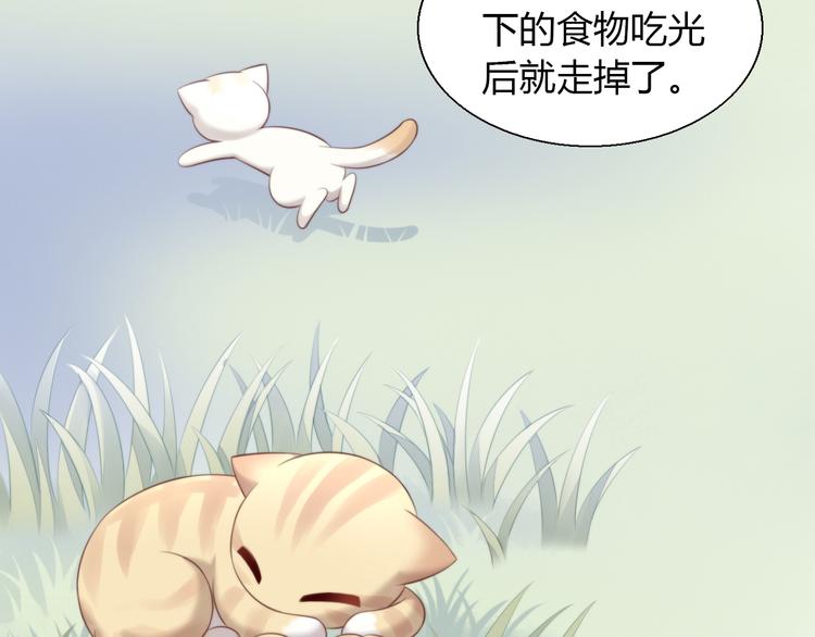 猫爪之下韩漫全集-第67话 挽救无删减无遮挡章节图片 