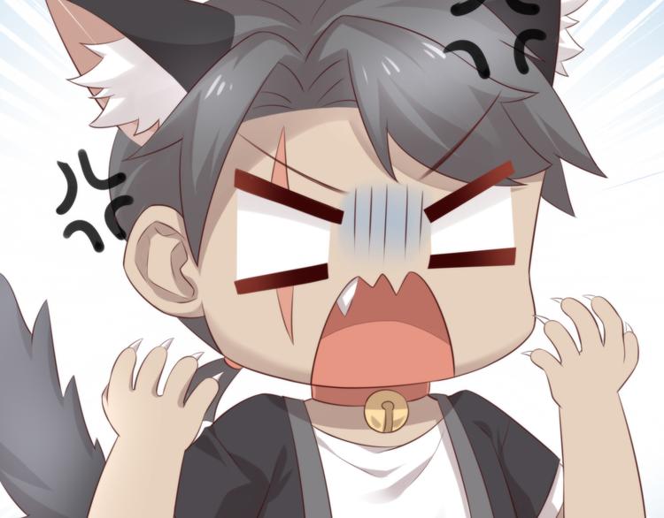 猫爪之下韩漫全集-第67话 挽救无删减无遮挡章节图片 