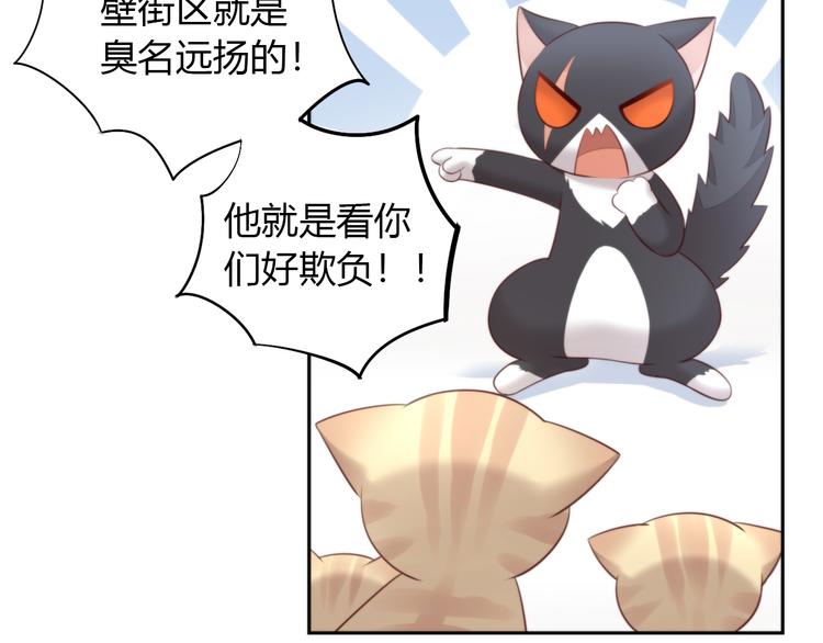 猫爪之下韩漫全集-第67话 挽救无删减无遮挡章节图片 