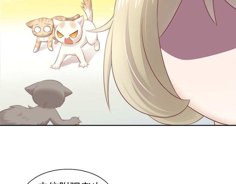 猫爪之下韩漫全集-第67话 挽救无删减无遮挡章节图片 