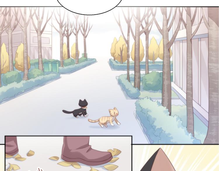 猫爪之下韩漫全集-第68话 突发意外无删减无遮挡章节图片 