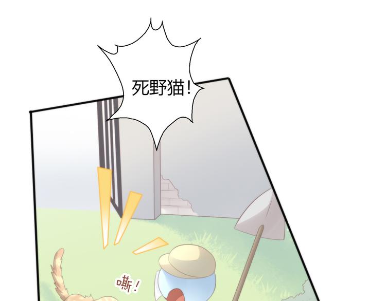 猫爪之下韩漫全集-第68话 突发意外无删减无遮挡章节图片 