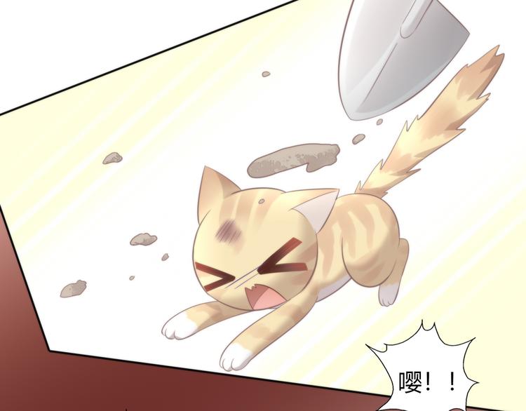 猫爪之下韩漫全集-第68话 突发意外无删减无遮挡章节图片 