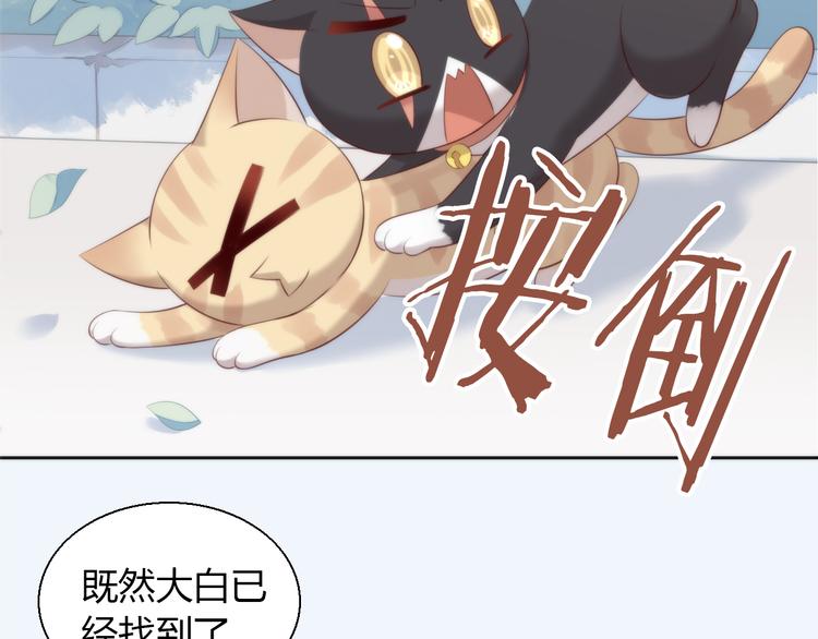 猫爪之下韩漫全集-第68话 突发意外无删减无遮挡章节图片 