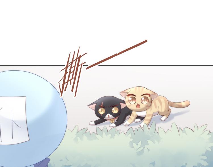 猫爪之下韩漫全集-第68话 突发意外无删减无遮挡章节图片 