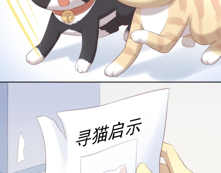 猫爪之下韩漫全集-第68话 突发意外无删减无遮挡章节图片 