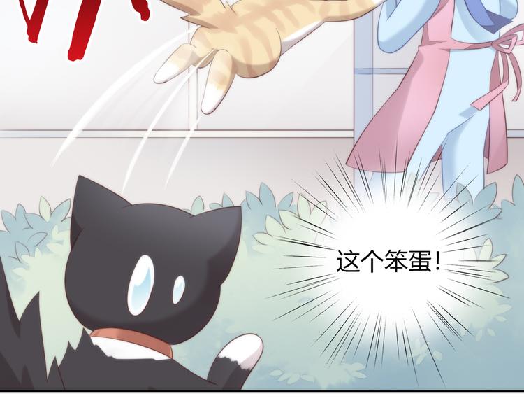 猫爪之下韩漫全集-第68话 突发意外无删减无遮挡章节图片 