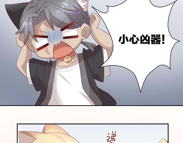 猫爪之下韩漫全集-第68话 突发意外无删减无遮挡章节图片 