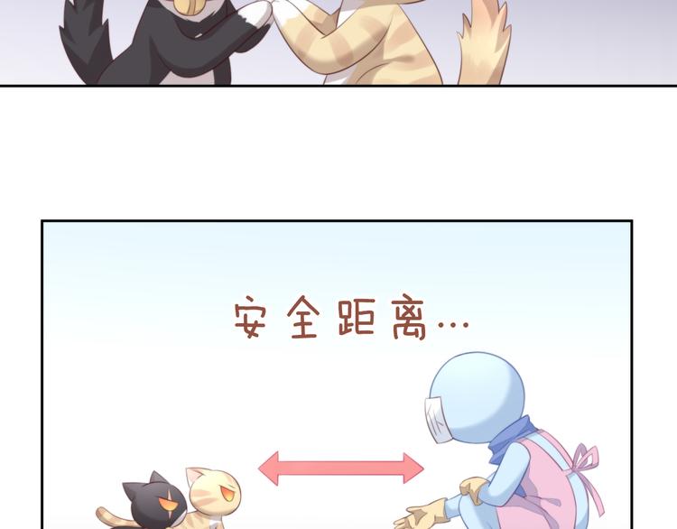 猫爪之下韩漫全集-第68话 突发意外无删减无遮挡章节图片 