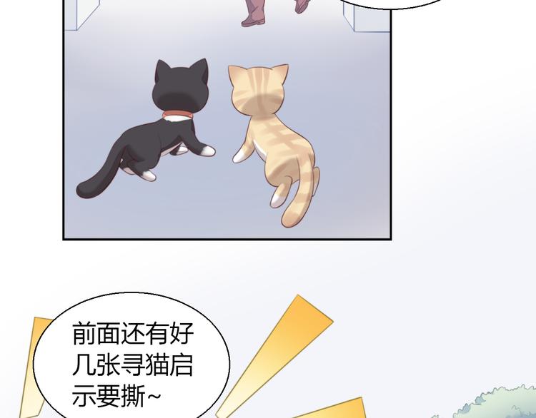 猫爪之下韩漫全集-第68话 突发意外无删减无遮挡章节图片 