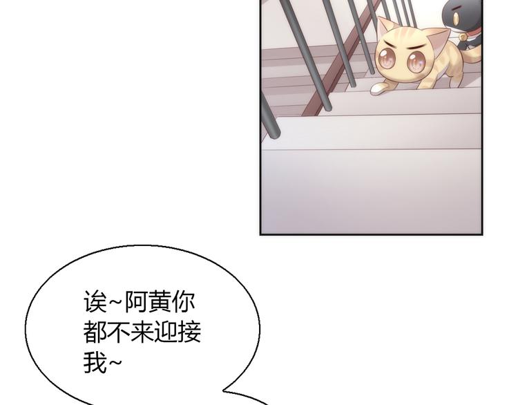 猫爪之下韩漫全集-第68话 突发意外无删减无遮挡章节图片 