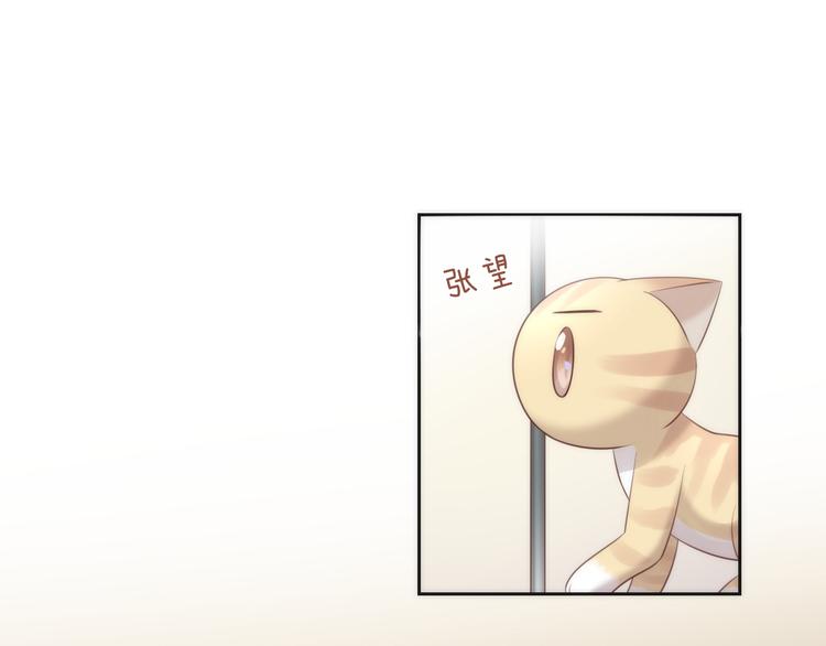 猫爪之下韩漫全集-第68话 突发意外无删减无遮挡章节图片 
