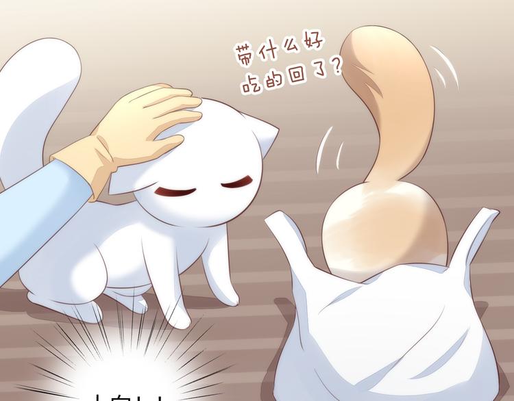 猫爪之下韩漫全集-第68话 突发意外无删减无遮挡章节图片 