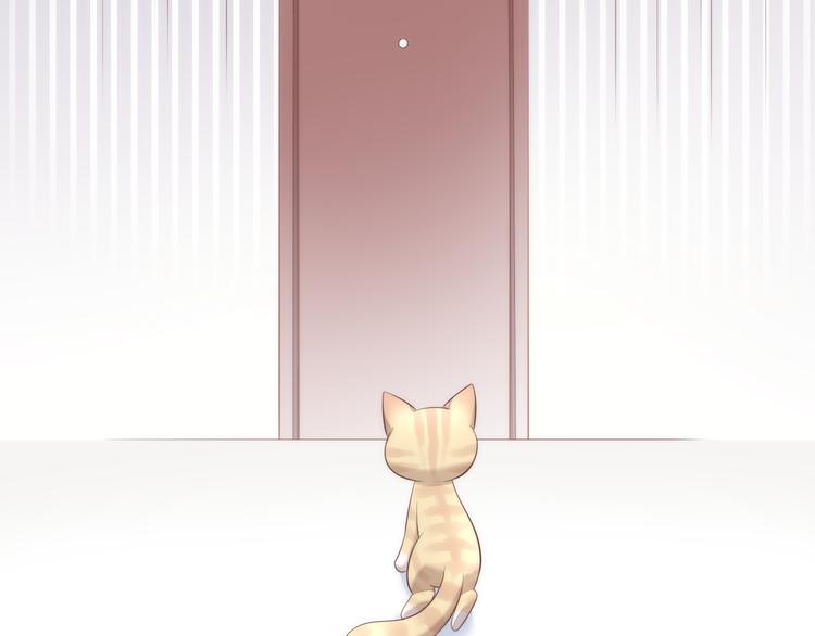猫爪之下韩漫全集-第68话 突发意外无删减无遮挡章节图片 