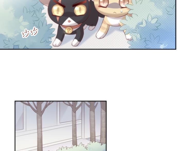 猫爪之下韩漫全集-第68话 突发意外无删减无遮挡章节图片 