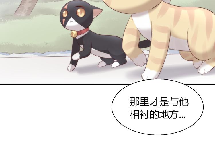 猫爪之下韩漫全集-第68话 突发意外无删减无遮挡章节图片 
