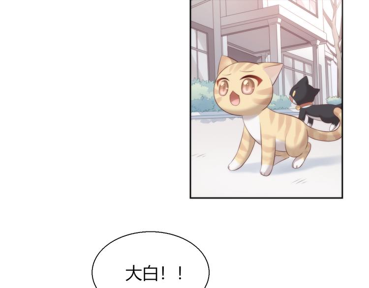 猫爪之下韩漫全集-第68话 突发意外无删减无遮挡章节图片 