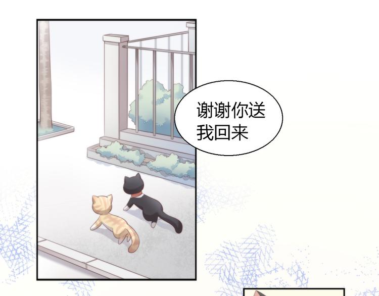 猫爪之下韩漫全集-第68话 突发意外无删减无遮挡章节图片 