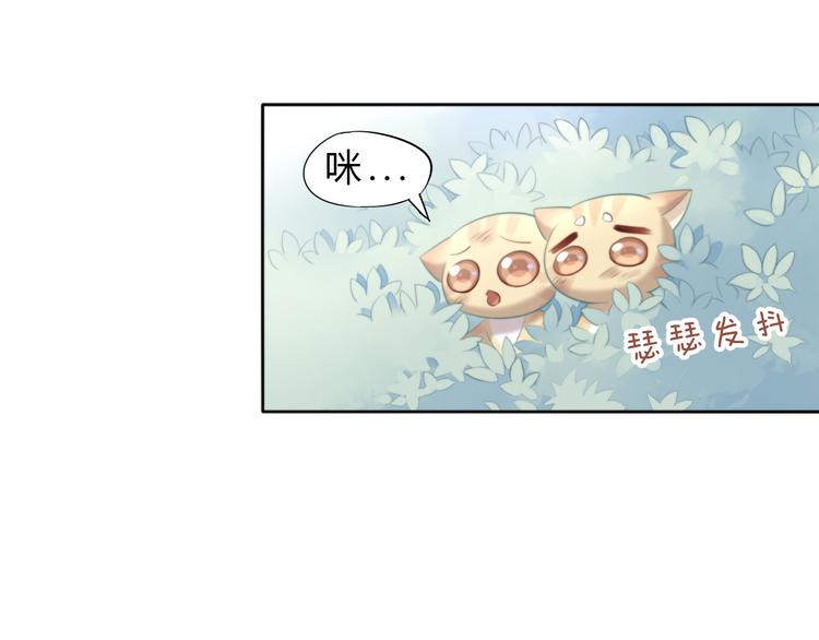 猫爪之下韩漫全集-第69话 决定无删减无遮挡章节图片 