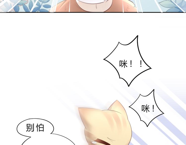 猫爪之下韩漫全集-第69话 决定无删减无遮挡章节图片 