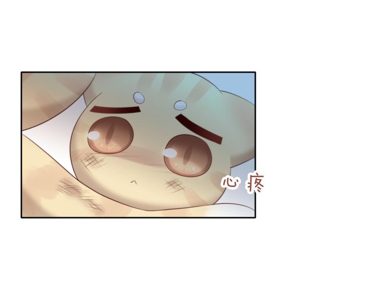 猫爪之下韩漫全集-第69话 决定无删减无遮挡章节图片 