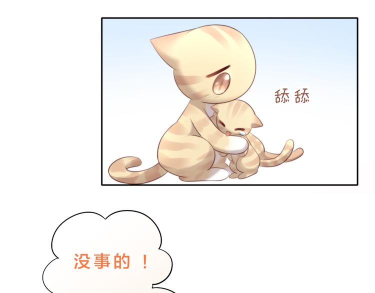 猫爪之下韩漫全集-第69话 决定无删减无遮挡章节图片 