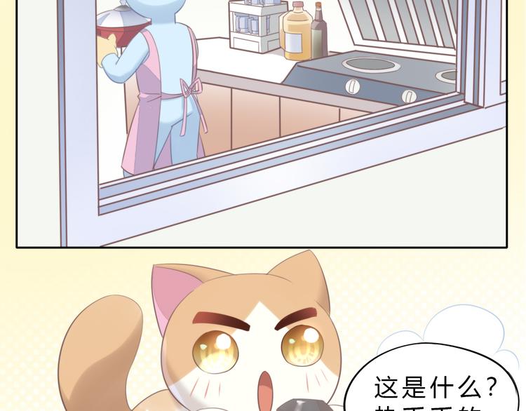 猫爪之下韩漫全集-第69话 决定无删减无遮挡章节图片 