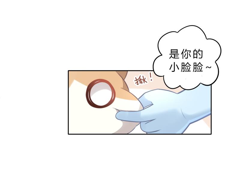 猫爪之下韩漫全集-第69话 决定无删减无遮挡章节图片 