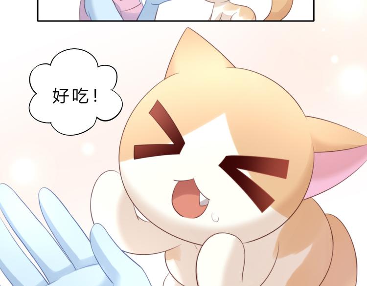 猫爪之下韩漫全集-第69话 决定无删减无遮挡章节图片 