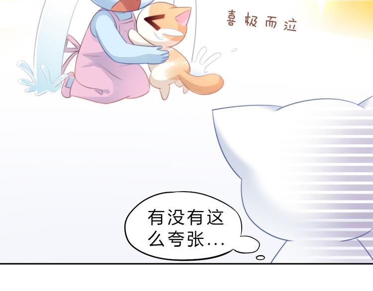 猫爪之下韩漫全集-第69话 决定无删减无遮挡章节图片 