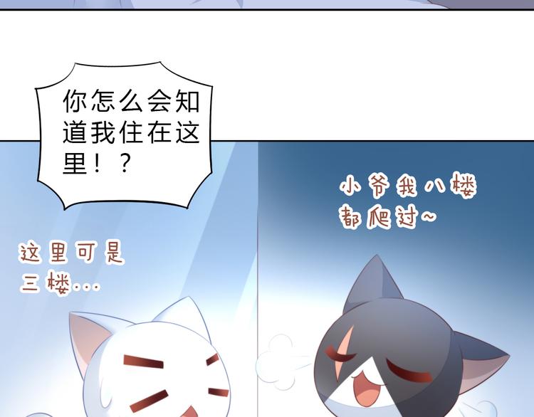 猫爪之下韩漫全集-第69话 决定无删减无遮挡章节图片 