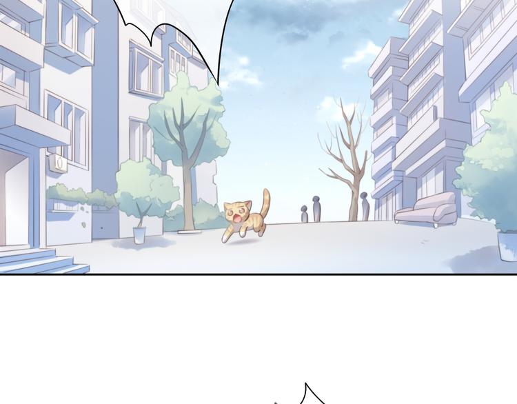 猫爪之下韩漫全集-第69话 决定无删减无遮挡章节图片 