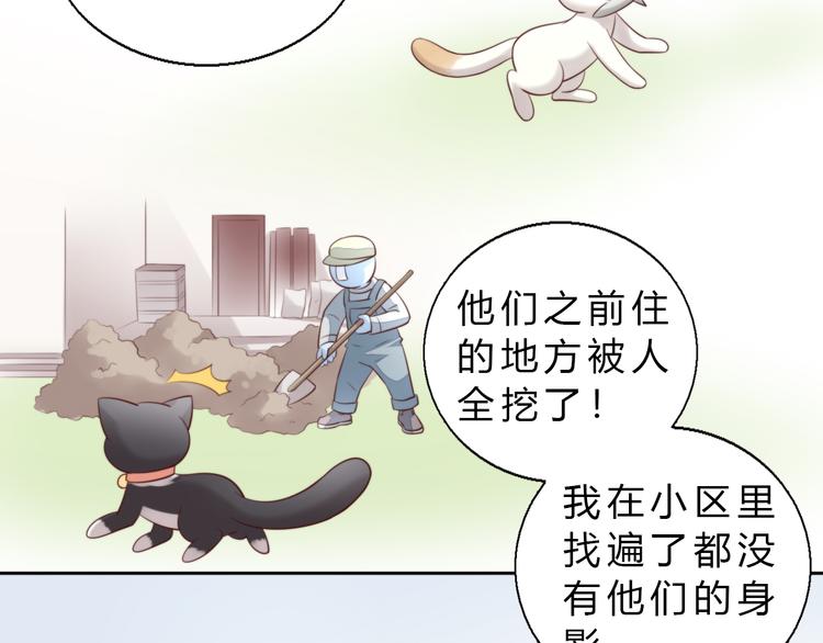 猫爪之下韩漫全集-第69话 决定无删减无遮挡章节图片 